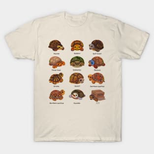 Box turtle T-Shirt